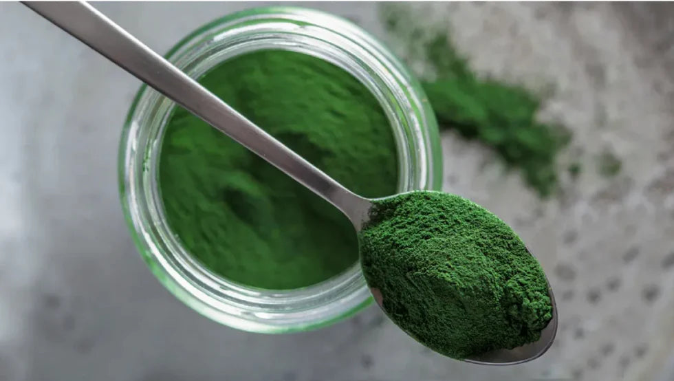 LUMINANCE paakių serumas. Chlorelės ekstraktas. Atjauninantis, drėkinantis, pigmentacijos mažinimas